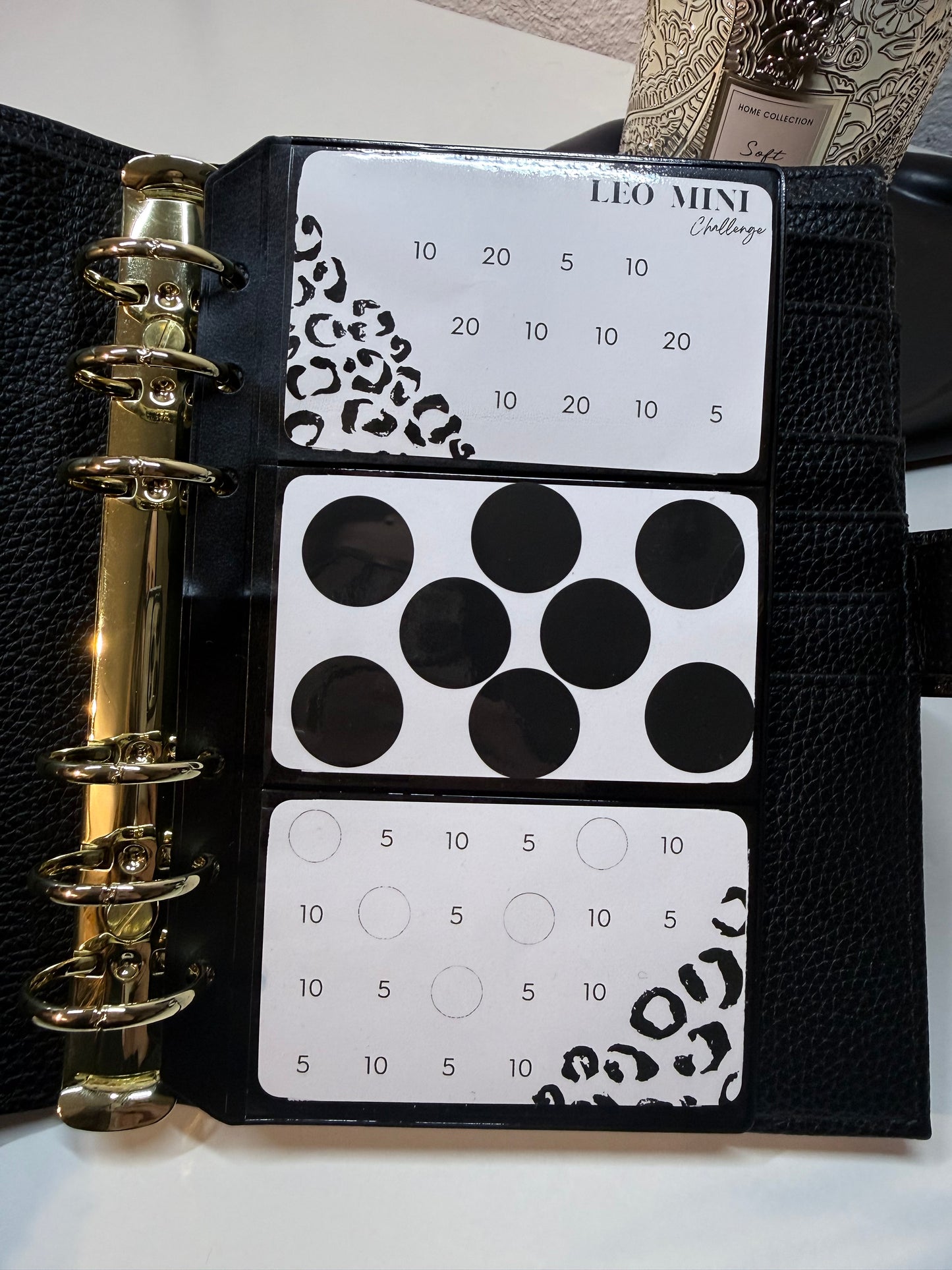 Leo Mini Sparchallenge A6